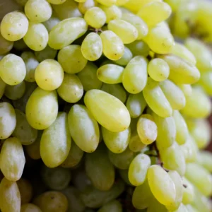 Sundarkhani Grapes