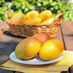 Chaunsa Mangoes
