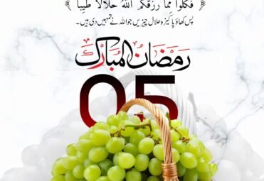 640998804_122115388107193337_2303713376981273101_n 640998804_122115388107193337_2303713376981273101_n