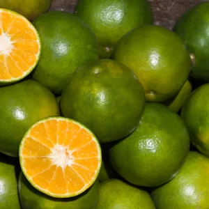 Citrus limetta (Musambi)