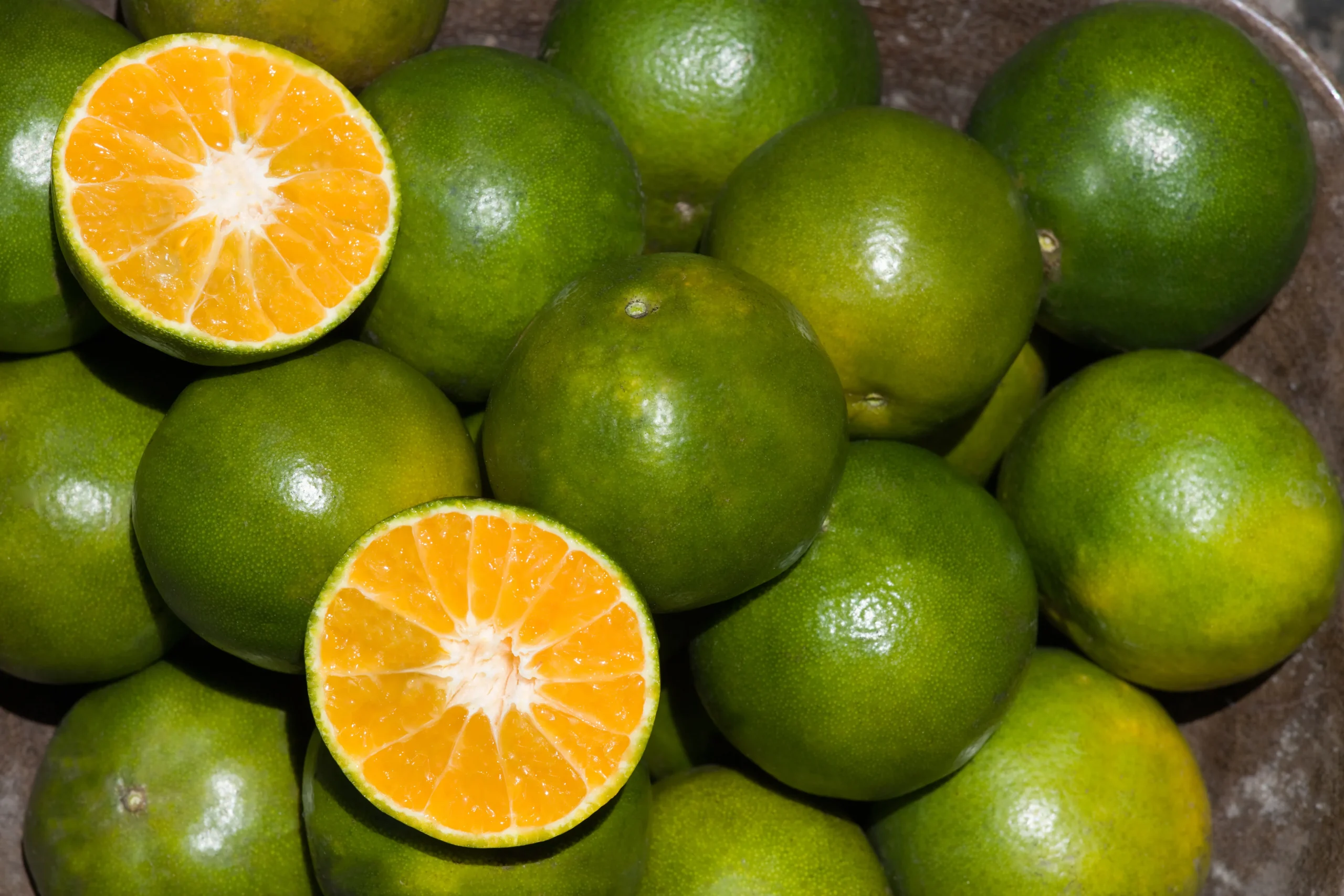 Citrus limetta (Musambi)