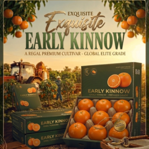Kinnow