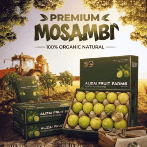 Mosambi