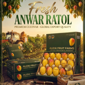 alizai fruit farm mangoes Fresh Mangoes